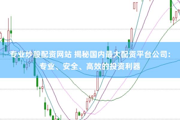 专业炒股配资网站 揭秘国内最大配资平台公司：专业、安全、高效的投资利器