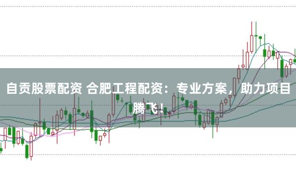 自贡股票配资 合肥工程配资：专业方案，助力项目腾飞！