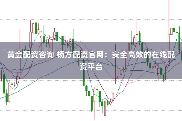 黄金配资咨询 杨方配资官网：安全高效的在线配资平台
