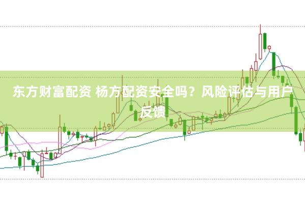东方财富配资 杨方配资安全吗？风险评估与用户反馈