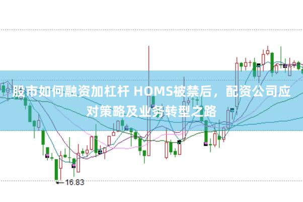 股市如何融资加杠杆 HOMS被禁后，配资公司应对策略及业务转型之路