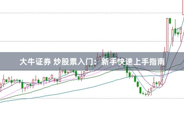 大牛证券 炒股票入门：新手快速上手指南