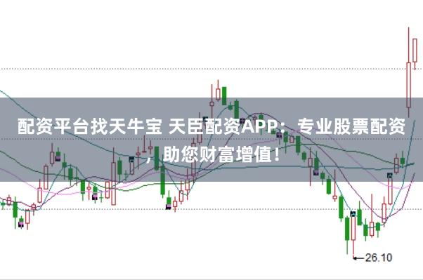 配资平台找天牛宝 天臣配资APP：专业股票配资，助您财富增值！