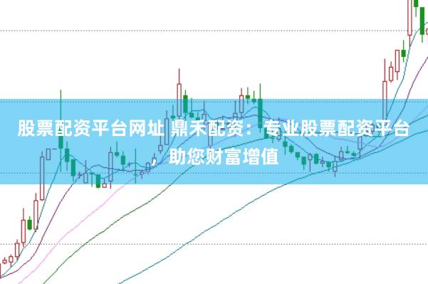 股票配资平台网址 鼎禾配资：专业股票配资平台，助您财富增值