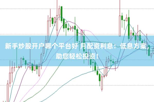 新手炒股开户哪个平台好 月配资利息：低息方案，助您轻松投资！